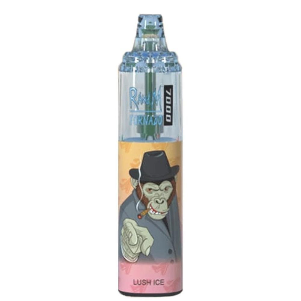 RandM Tornado 7000 Puff Disposable Vape - Box of 10 - Flavour